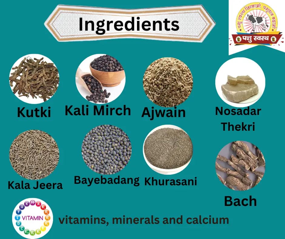 PASHU SVASTH THUN SAFE POWDER, Animal Health Supplements, Natural Mastitis & Udder Care Herbal Remedy For Dairy Animals - Image 4