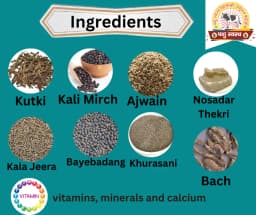 PASHU SVASTH THUN SAFE POWDER, Animal Health Supplements, Natural Mastitis & Udder Care Herbal Remedy For Dairy Animals 4