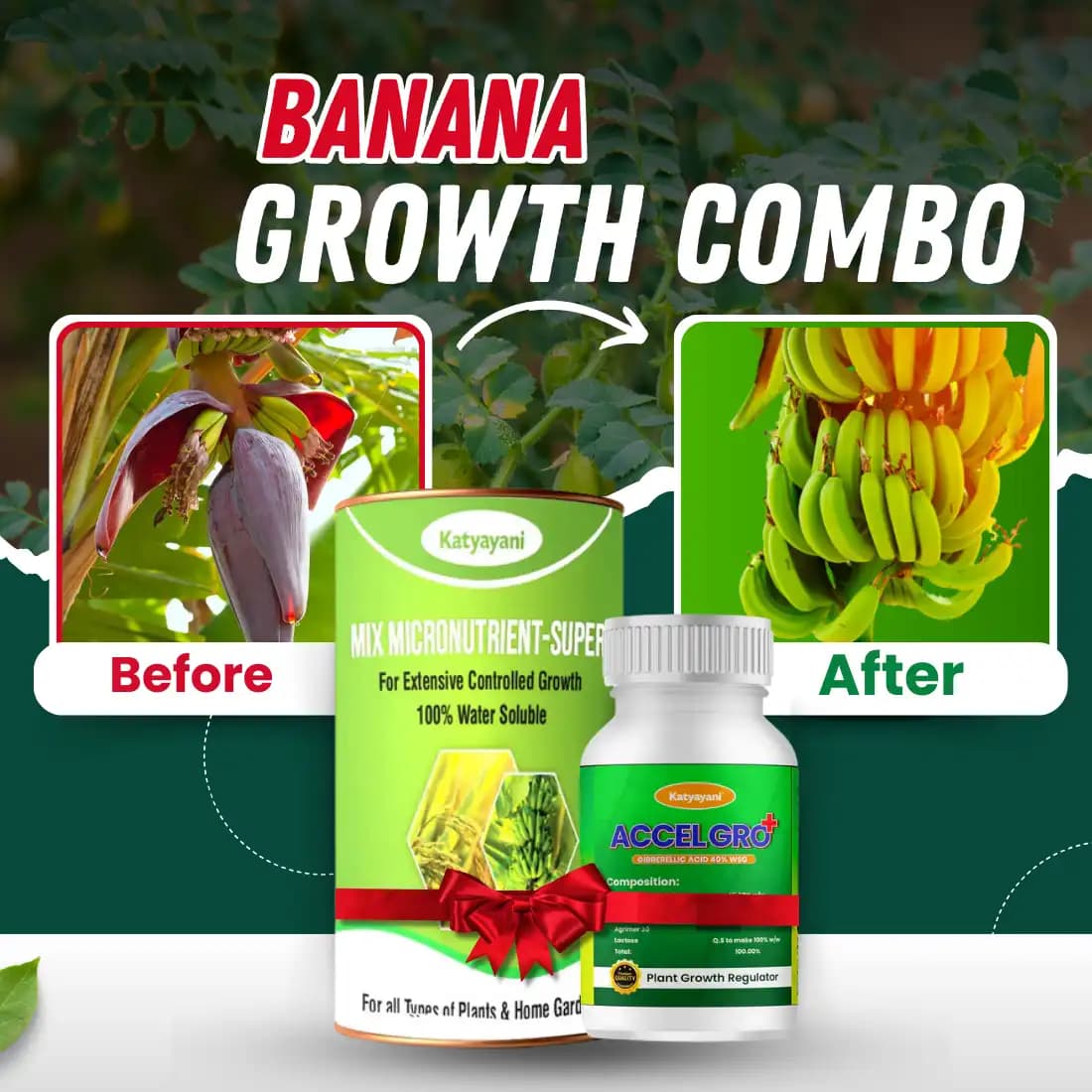 Katyayani Banana Growth Booster Combo, Promote Growth And Flowering (Mix Micronutrient 100 Gm, Accel Gro Plus 6 Gm) - Image 2