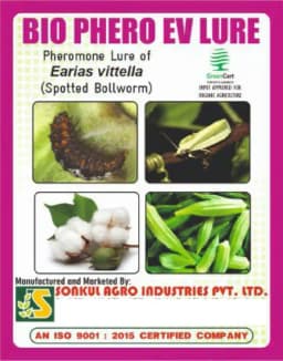 Sonkul Agro Industries Combo of BIO PHERO EV Earias Vitella Lure (Spotted Bollworm) & Funnel Trap for Okra & cotton 1