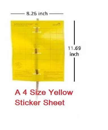 Barrix Yellow Magic Sticker Chromatic Trap - Image 3