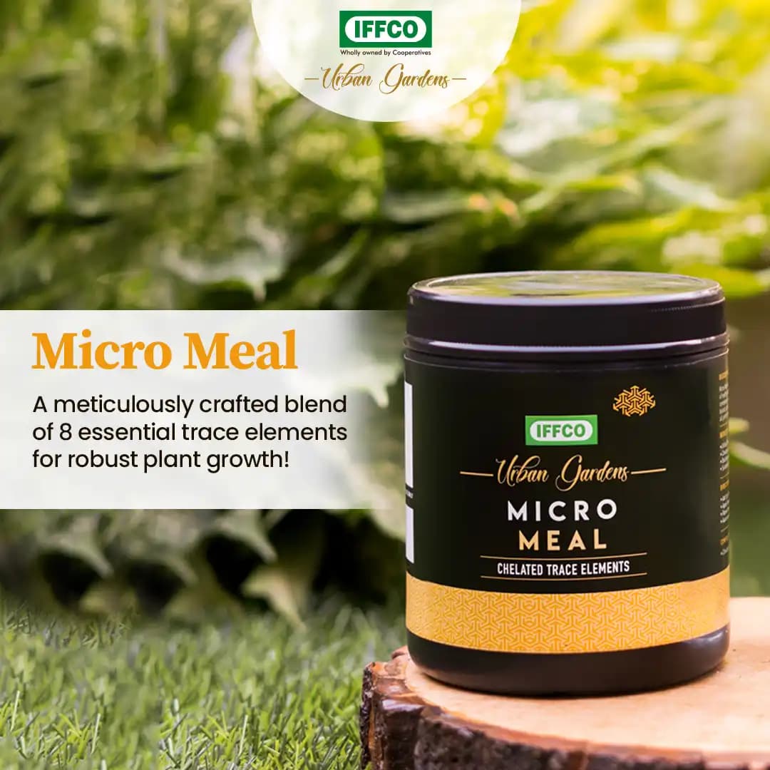 IFFCO Urban Garden Micro Meal Chelated Micronutrient Mixture, Fertilizer For Healthy Plant Growth, For Indoor and Outdoor - Image 3
