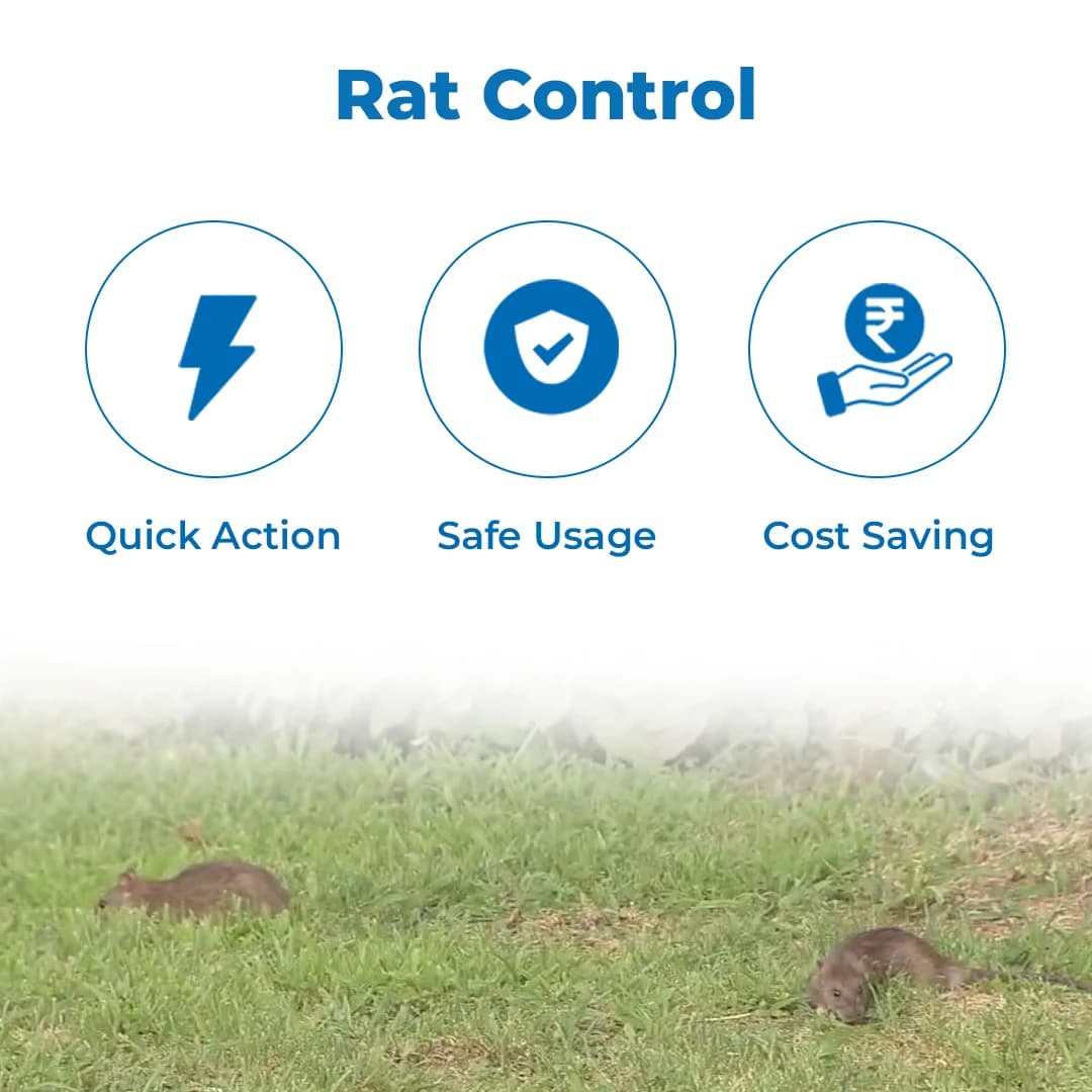 UPL Ratol Rodenticide - Image 3