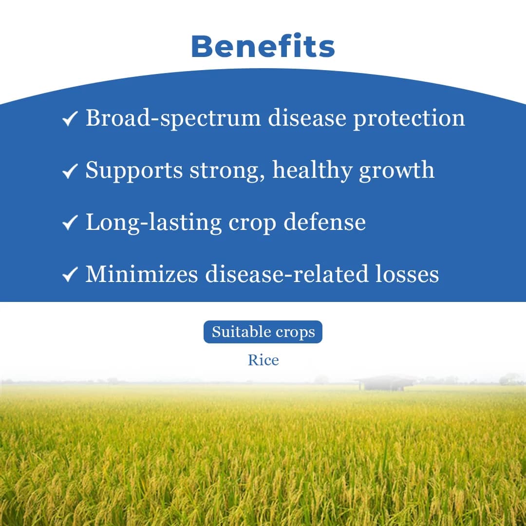 Willowood VALXTRA Hexaconazole 5% + Validamycin 2.5% SC, Best For Shealth Blight And Blast - Image 4