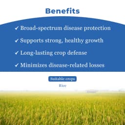 Willowood VALXTRA Hexaconazole 5% + Validamycin 2.5% SC, Best For Shealth Blight And Blast 4