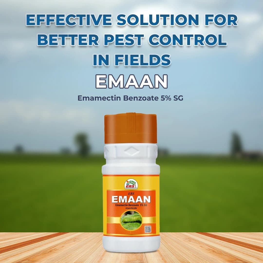 EBS Emaan Insecticide - Image 2
