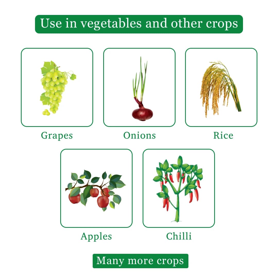 Bayer Luna Experience Fungicide - Image 4