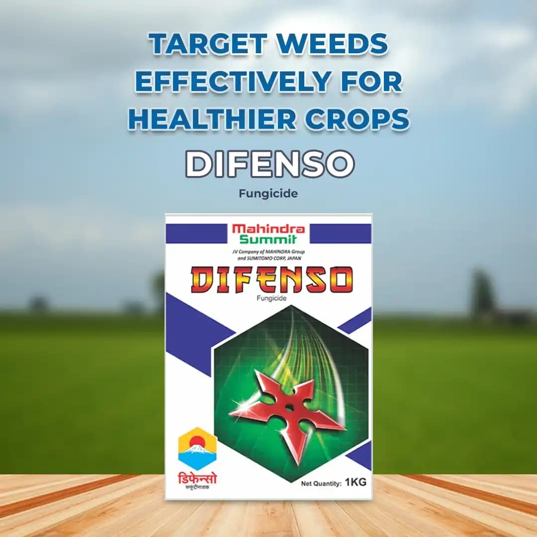 Mahindra Summit Difenso Thiophanate Methyl 70% WP, Broad Spectrum Systemic Fungicide - Image 2