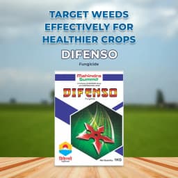 Mahindra Summit Difenso Thiophanate Methyl 70% WP, Broad Spectrum Systemic Fungicide 2