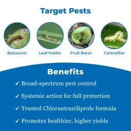 UPL Shenzi Chlorantraniliprole 18.5% Broad Spectrum Insecticide, Mode of Action in Crops like., Sugarcane, Rice, Soybean, Pulses, and Vegetables. 3