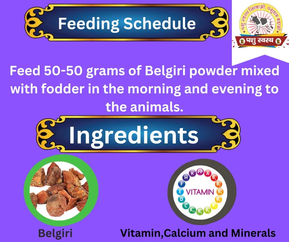 PASHU SVASTH BELGIRI POWDER, Pure Natural Herbs, Natural Cooling And Digestive Support For Animals - Image 3