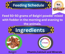 PASHU SVASTH BELGIRI POWDER, Pure Natural Herbs, Natural Cooling And Digestive Support For Animals 3