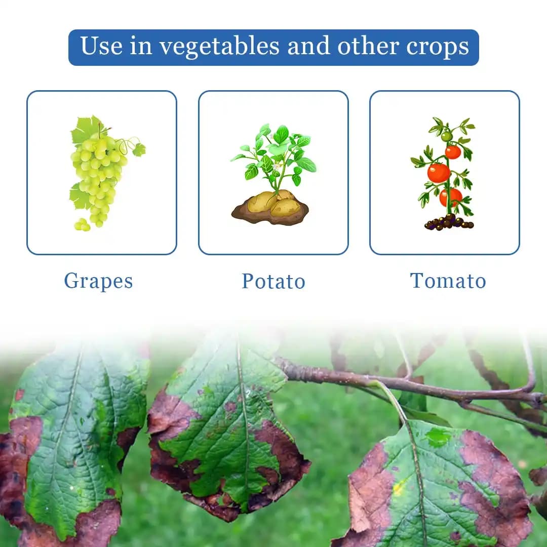 Dhanuka Melody Duo Fungicide - Image 4