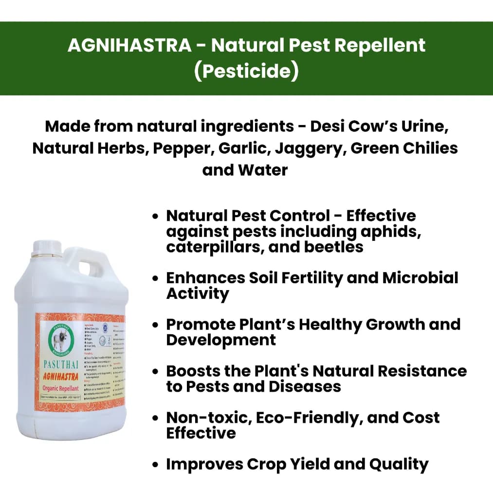 Pasuthai Panchagavya (5L), Agnihastra (5L) & Ganajeevamrutha (5Kg) Combo Products, Increases Plant\'s Resistance & Corp Yield - Image 4