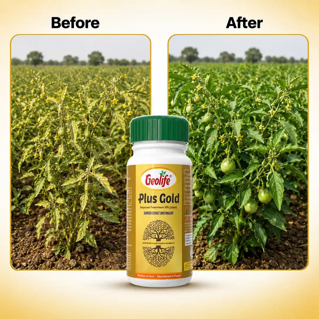 Geolife Plus Gold - Bio Stimulant - Image 6