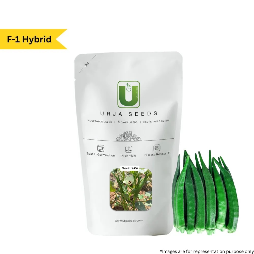 Urja US-400 Okra Seeds - Bhindi Seeds