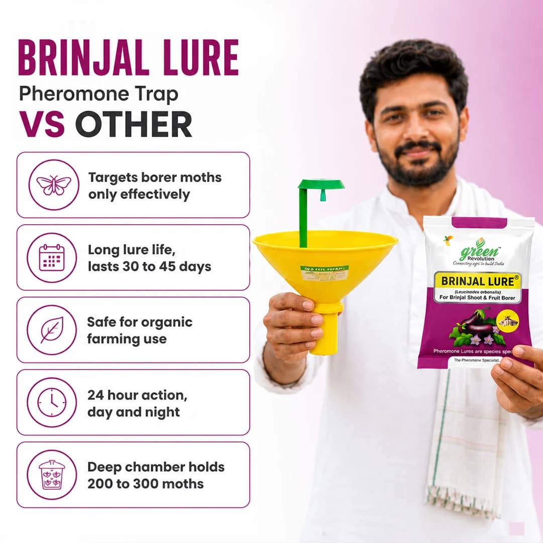ಗ್ರೀನ್ ರೆವಲ್ಯೂಶನ್ ಬದನೆ ಲ್ಯೂರ್ - ಲ್ಯೂಸಿನೋಡ್ಸ್ ಆರ್ಬೊನಾಲಿಸ್ - Image 11