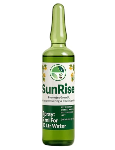GBL Sunrise Pollination Stimulant, Growth Booster And Yield Enhancer For All Crops (2ml x 10 Pcs) - Image 2