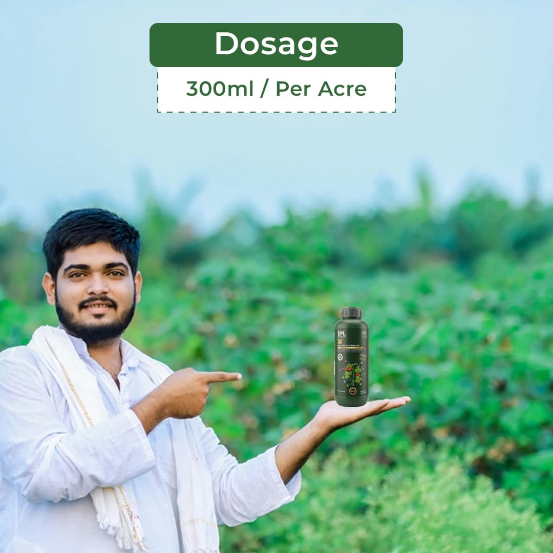 आईपीएल बायोलॉजिकल्स 5जी बायो स्टिमुलेंट्स, जैविक प्रमाणित ह्यूमिक और फुल्विक समूह - Image 5