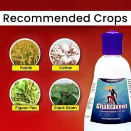 Katyayani Chakraveer Chlorantraniliprole 18.5% SC Insecticide, Advanced Effective Pest Control and Crop Protection 4