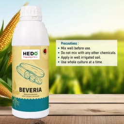HEDO Beveria (Beauveria Bassiana) Liquid Bio Pesticide, Controls Sucking Pests, Grubs, Termites, And Bollworms Effectively 5