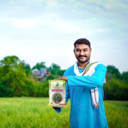 SRI SAI FORESTRY Super Napier Grass Seeds for Cattle, Multi Cut Grass Seed for Animal Fodder 5