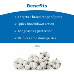 Ju Century Bifenthrin 10% Ec Insecticide, For The Management Of Different Type Of Larvae And Sucking Pests 4