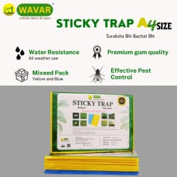 WAVAR A4 Sticky Trap, 12 x 8 Inch, 3mm Thickness, Eco Friendly (Combo Of 20 Yellow + 5 Blue) 2