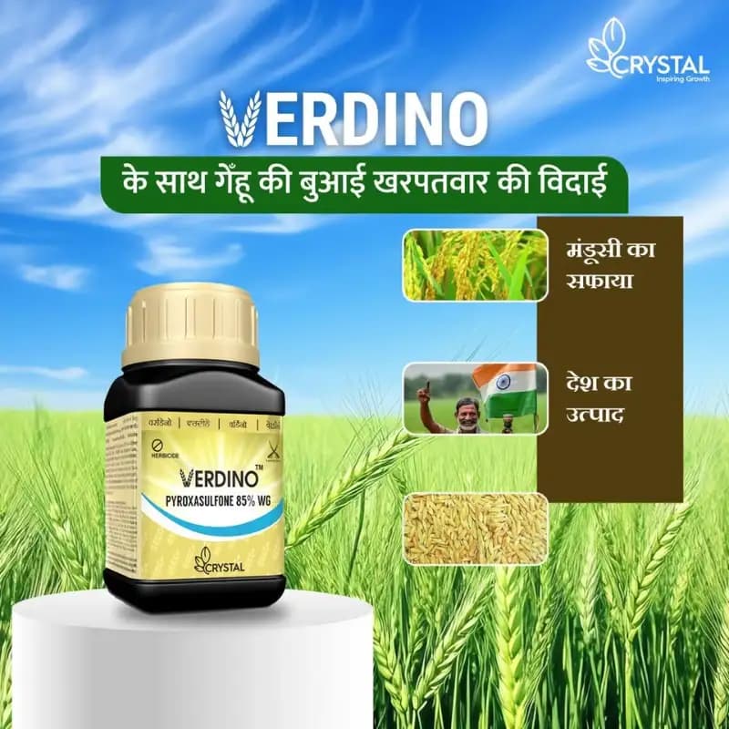 Crystal VERDINO Pypoxasulfone 85% WG Herbicide, Effective For Wheat - Image 3