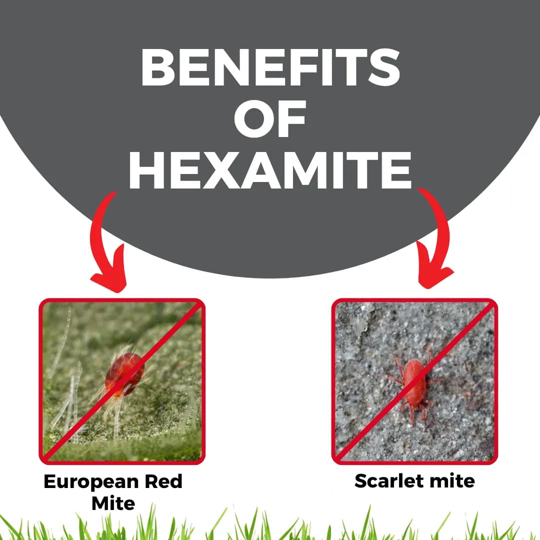 Katyayani Hexamite Hexythiazox 5.45% EC Insecticide for Mite Control - Image 3