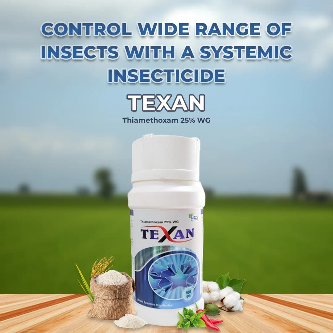 Texan Insecticide - Thiamethoxam 25% WG - Image 2