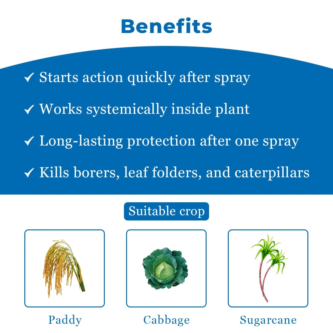 PI Pressedo Insecticide - Image 4