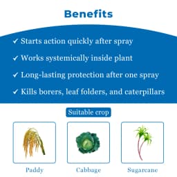 PI Pressedo Cyclaniliprole 10% DC Insecticide, Target to Control Lepidopteran Pests 4