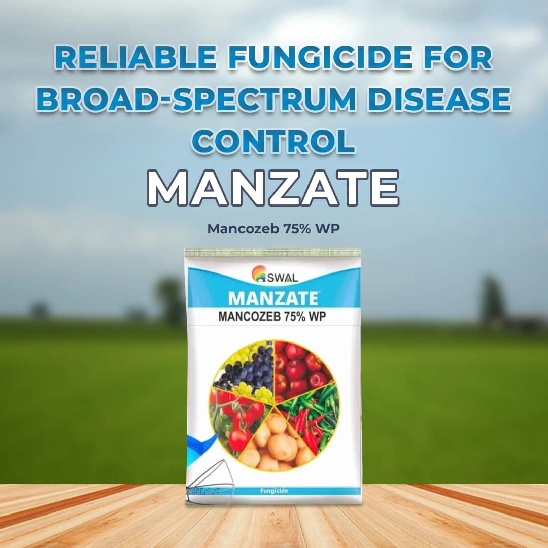Swal Manzate Fungicide - Image 2
