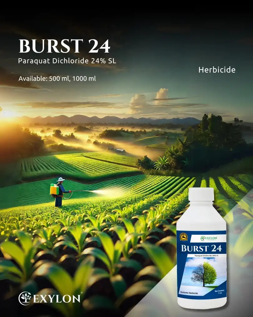 Exylon Burst 24 Herbicide - Paraquat Dichloride 24% SL