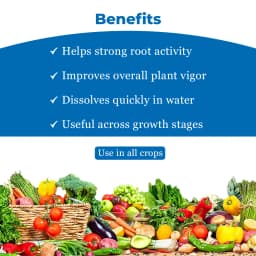 जीएसीआईएल प्लस कम्पलीट एनपीके 19:19:19 खाद - हरे सब्जियों, रसदार फलों और शानदार फूलों के लिए। 4