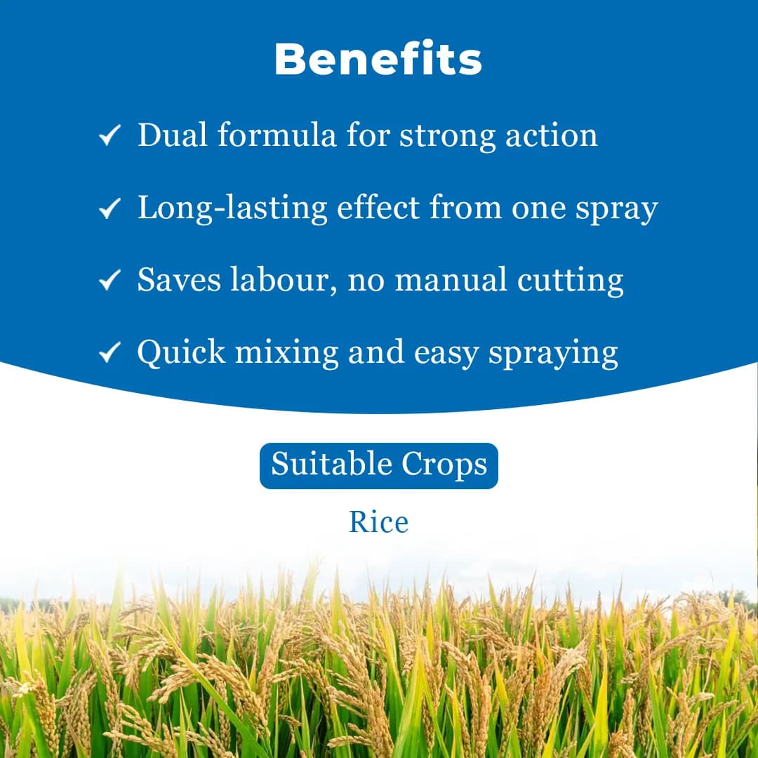 Bayer Council Active Triafamone 20% + Ethoxysulfuron 10% WG, Latest Post Emergent Rice Herbicide. - Image 4