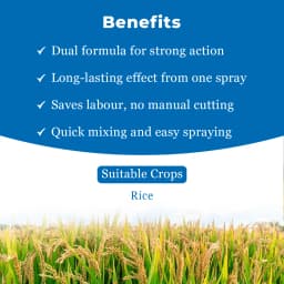 Bayer Council Active Triafamone 20% + Ethoxysulfuron 10% WG, Latest Post Emergent Rice Herbicide. 4