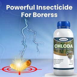 Katyayani Chloda Chlorantraniliprole 9.3% + Lambda Cyhalothrin 4.6% ZC Insecticide, for Effective Pest Control for Crops 2