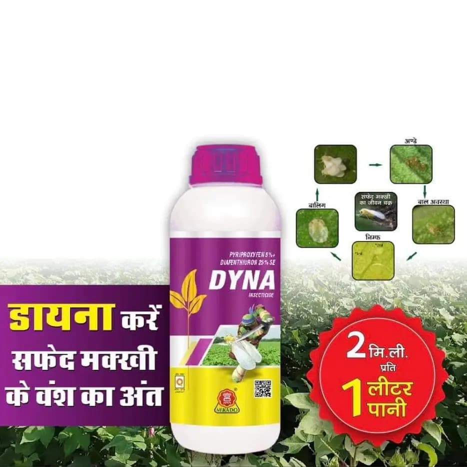 Mikado Dyna Pyriproxyfen 5% + Diafenthiuron 25% SE Insecticide, Effective Control of Whitefly, Thrips, Jassid, and Aphid In Cotton Crops - Image 2