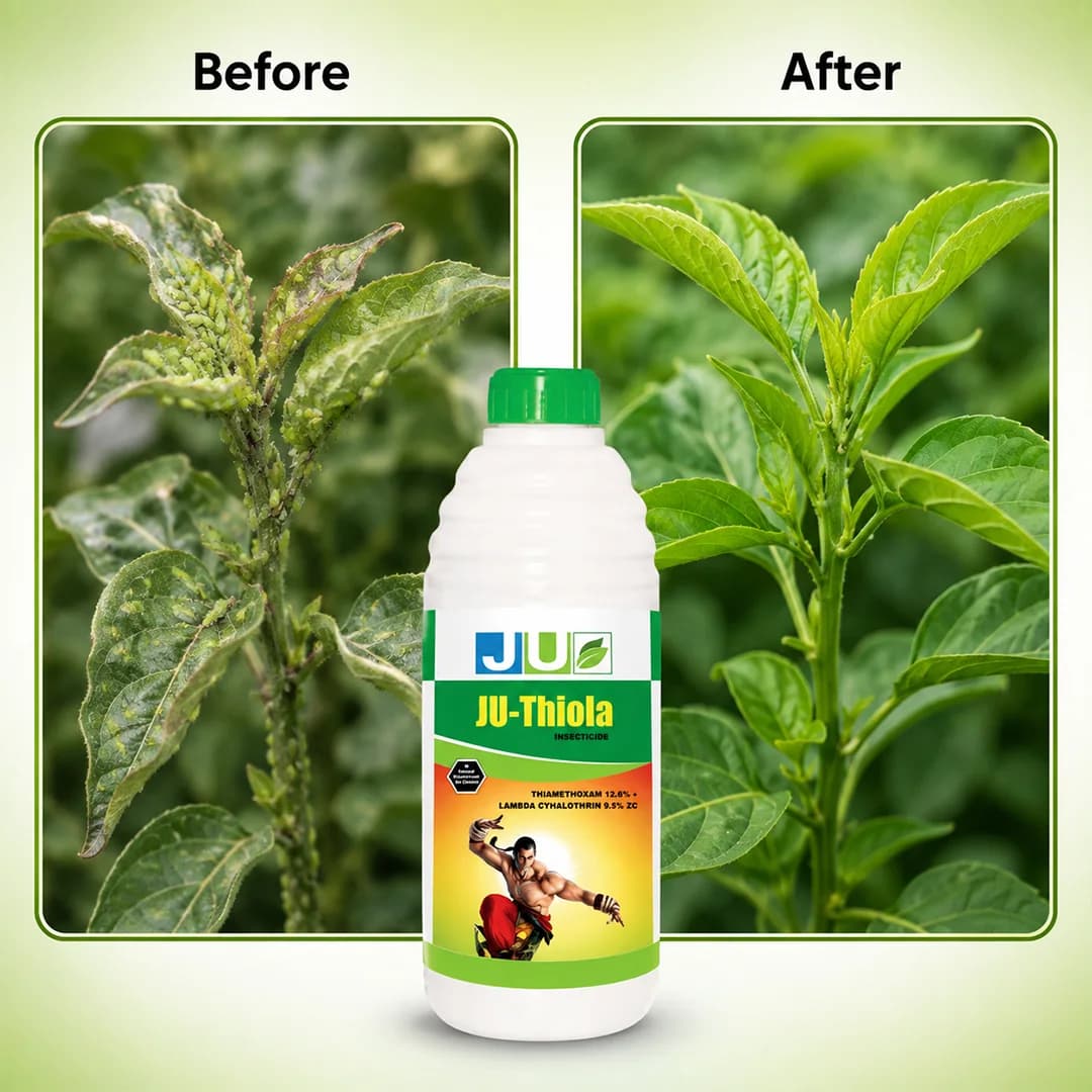 Ju-Thiola Insecticide - Image 7