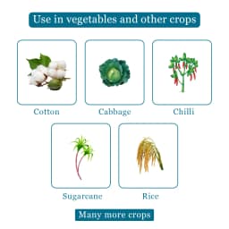 Agriventure FIPRO SILVER Fipronil 5% SC Insecticide, Excellent Thripicide And Also Shows Plant Growth Enhancement 4