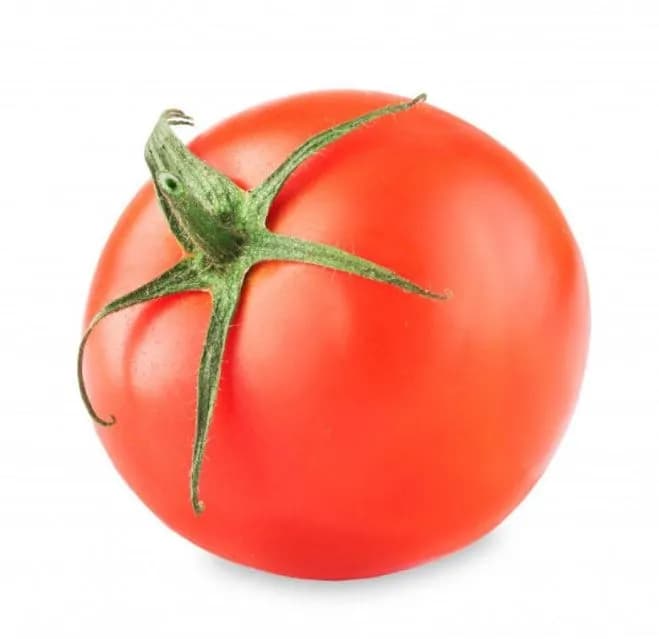 Jivit F1 Hybrid JS Ravi Tomato Seeds, Flattened Round Medium Sized Shape - Image 3