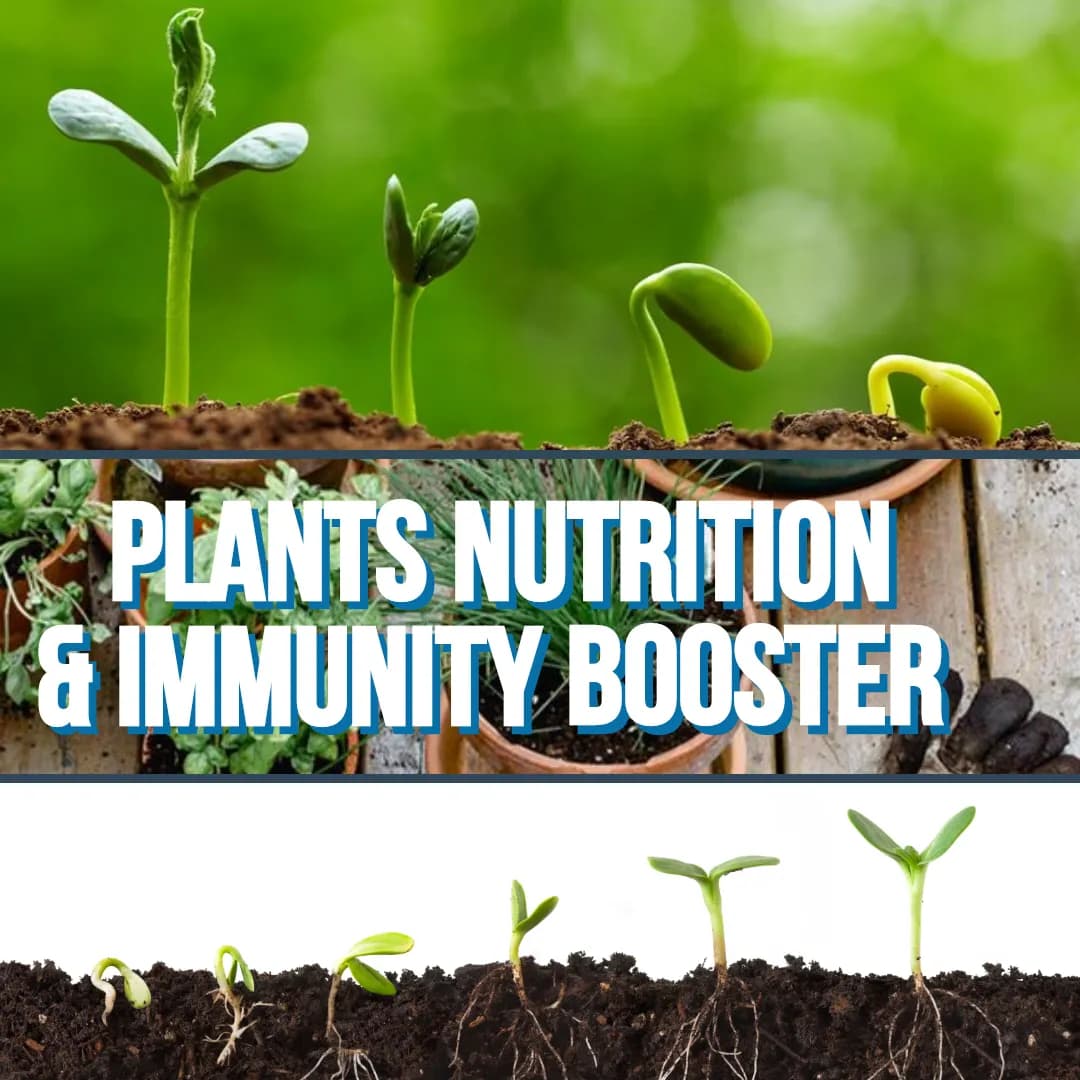 Easykrishi PotPower Plant Nutrition Enhancer and Immunity Booster For All Plants - Image 3