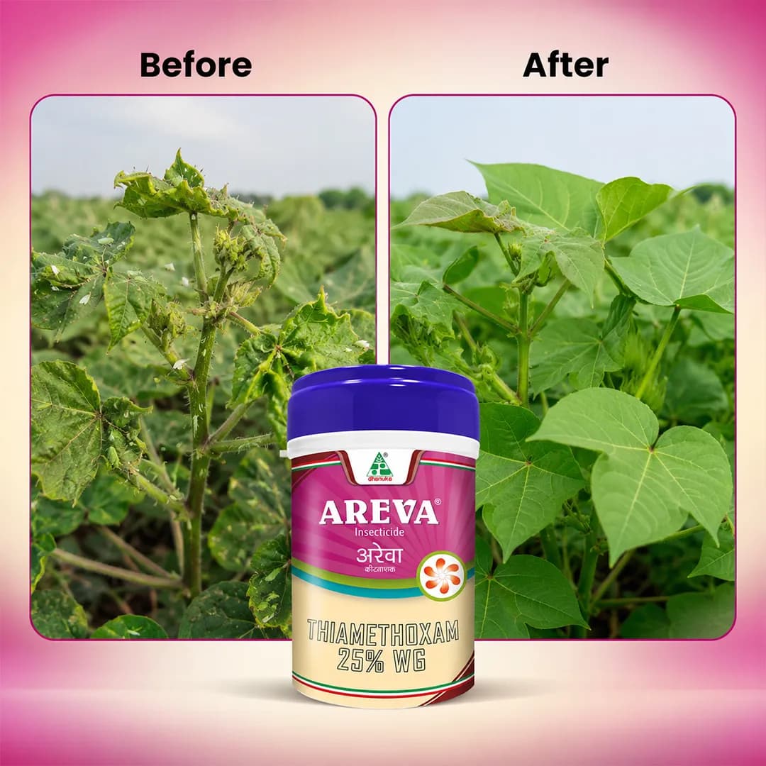 Dhanuka Areva Insecticide - Image 6