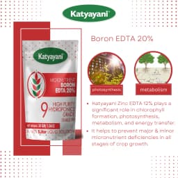 Katyayani Boron 20% EDTA Micronutrient Fertilizer, Hydroponics Grade, Water-Soluble and Enhanced Nutrient Uptake 5