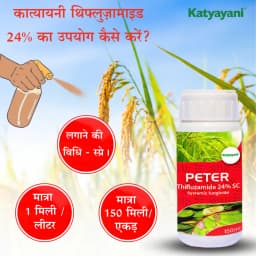 Katyayani Peter Thifluzamide 24% SC Fungicide, Effective Disease Control and Crop Protection 5