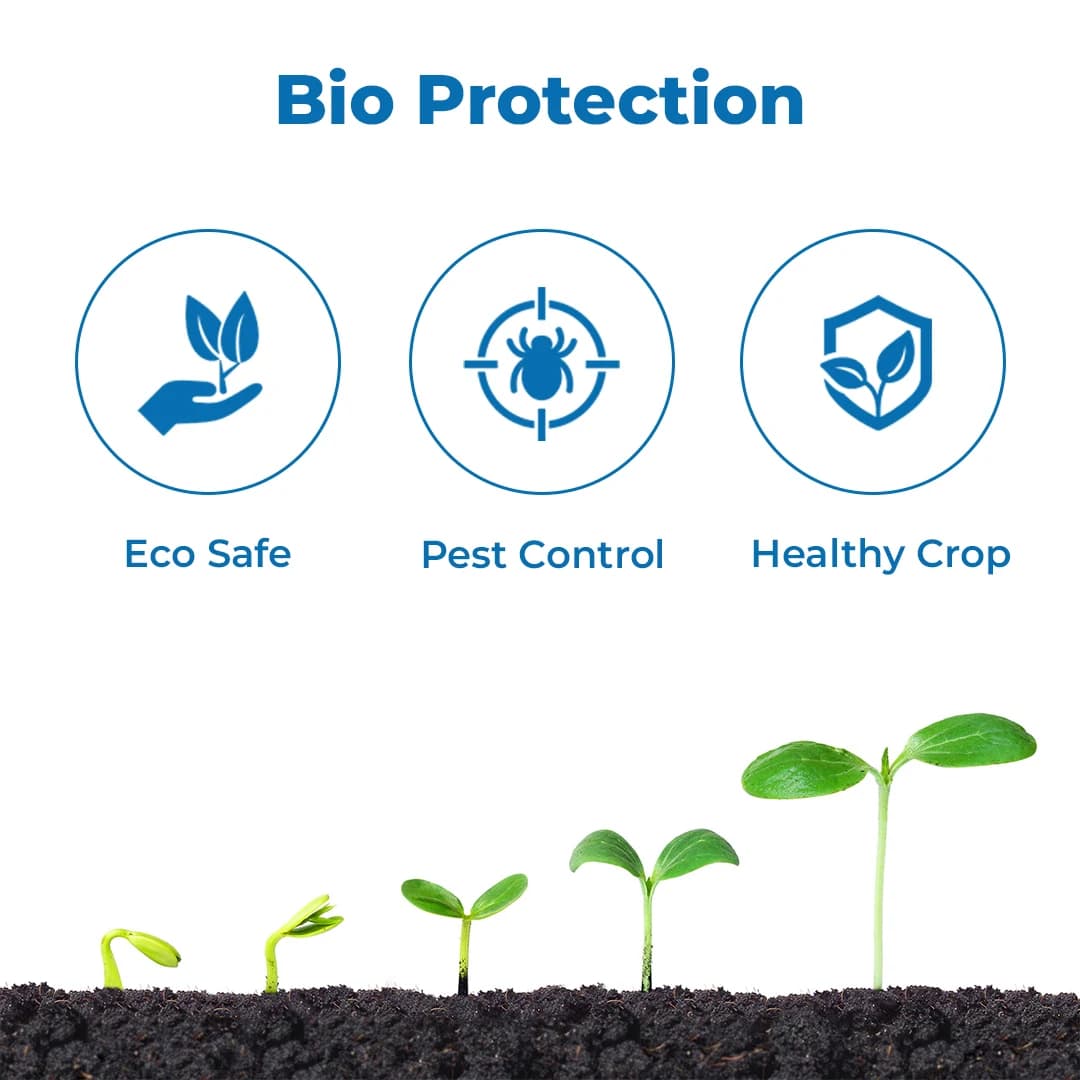 बीएसीएफ मायकोटा - ब्लूवेरिया बसियाना 1.15% डब्लूपी. जैव रसायन, इल्ली, ग्रब्स, सफ़ेद मक्खी के लिए उपयुक्त. - Image 3