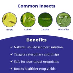 Katyayani Spino 45 Spinosad 45% SC Insecticide, Used For The Control Of Resistant Helicoverpa In Cotton And Red Gram 3