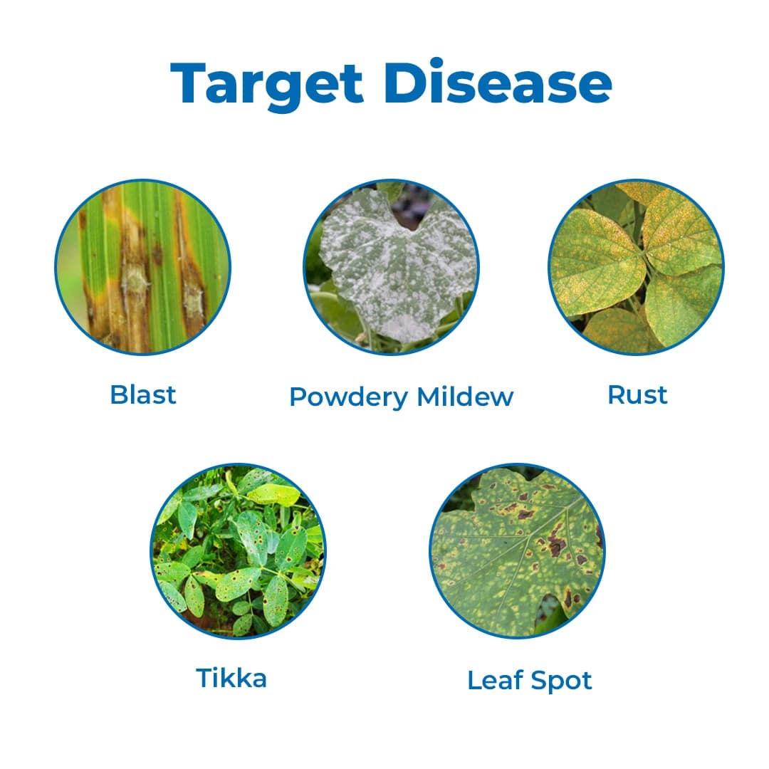 BACF CARMAN - Carbendazim 12% + Mancozeb 63% WP Fungicide , Contact and systematic, Best For Blast, Leaf Spot And Tikka. - Image 3